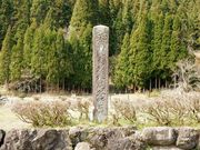 w-masaさんの根尾谷断層の投稿写真1