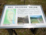 w-masaさんの根尾谷断層の投稿写真3