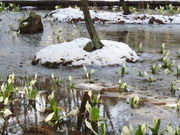 馬さんの鳥居平やまびこ公園展望広場の投稿写真2
