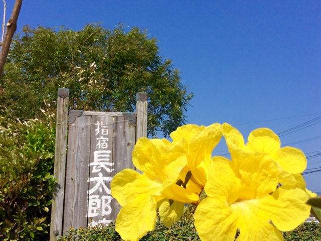 看板_指宿長太郎焼窯元