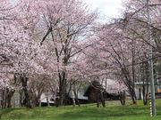 たかちゃんさんのひがしかぐら 森林公園 キャンプ場の投稿写真4