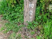JOEさんの箱根旧街道「箱根八里」の投稿写真1