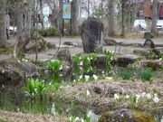 moruさんの分水嶺公園の投稿写真2