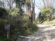 イオンさんの伝鎌倉街道の投稿写真1