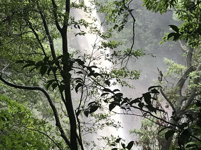 割りと滝とは距離があるのにこのデカさ。
近くに行く勇気はありません(笑
_千里ヶ滝