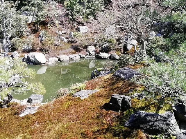 書院前の池泉庭園です_両足院