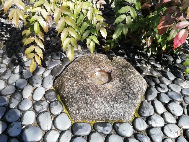 山門と本堂の間の植栽の傍ら、きれいな玉砂利に囲まれています_六角堂へそ石