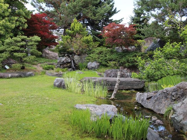 庭園_和食庭園 小城