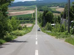 たかちゃんさんのジェットコースターの路への投稿写真1