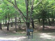 たかちゃんさんの中富良野森林公園の投稿写真2