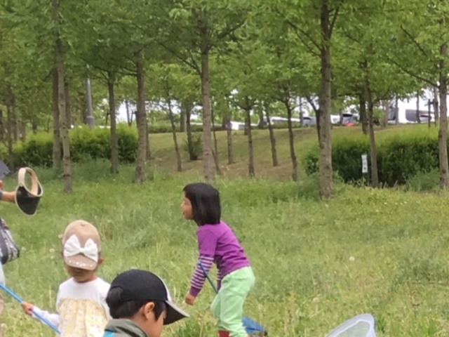 虫探し_大野極楽寺公園