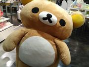 たつみさんの大宮ロフトの投稿写真2