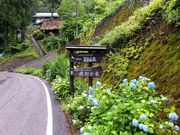 こぼらさんの流刑小屋の投稿写真1