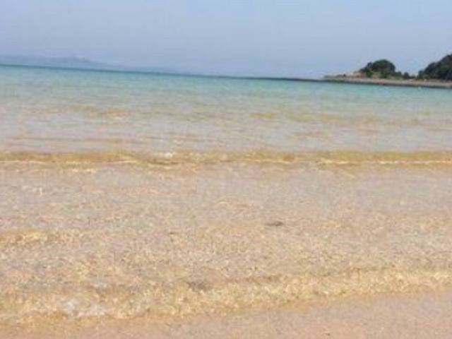 海_青島