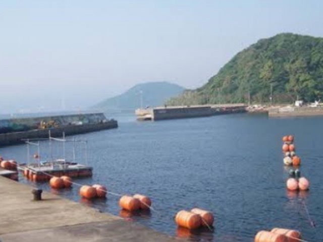 海_青島