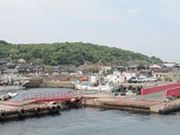 ゆりんさんの青島の投稿写真1