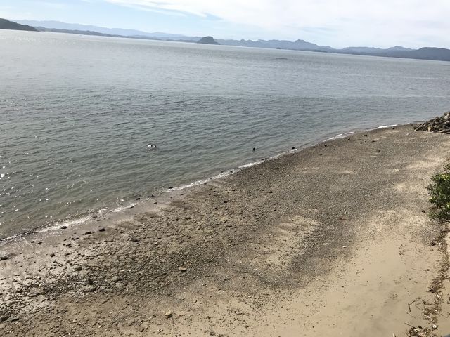 気さくなおばちゃんで毎年我が家に帰ってきた気持ちにさせてくれます_旅館きく