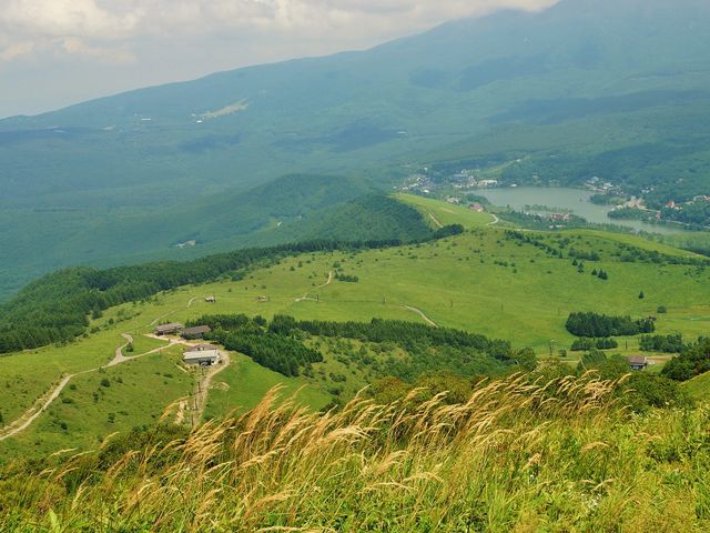 霧ヶ峰高原_霧ヶ峰高原