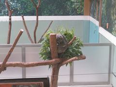 平川動物公園の写真2