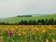 雷ちゃんさんの霧ヶ峰高原の投稿写真1