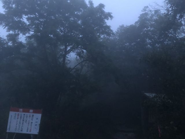 朝霧が出て幻想的な風景でした_Discoveries