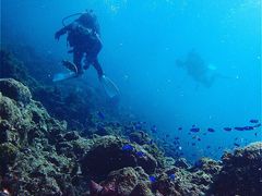 polepole@seaの写真1