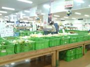 がろっとさんのyou+youくまもと農畜産物市場の投稿写真1