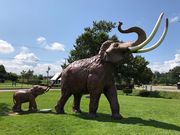 ヌケてるライダーさんの道の駅 忠類の投稿写真1