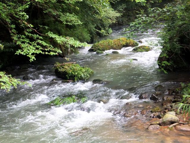 鶴仙渓
