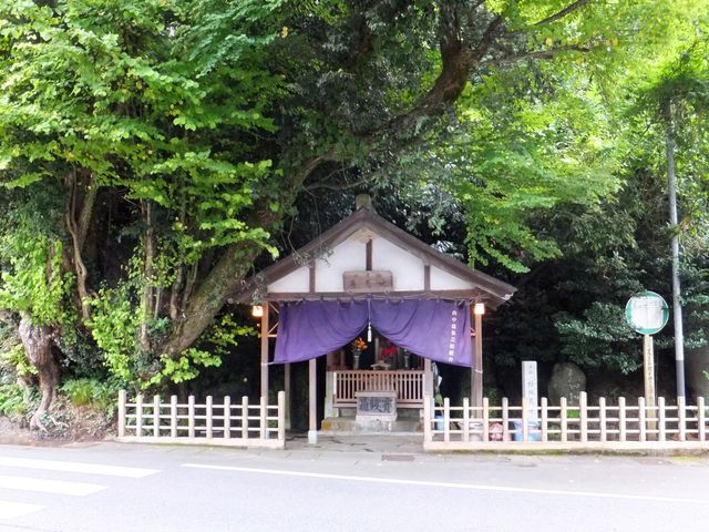 こぼらさんの桂清水の投稿写真1