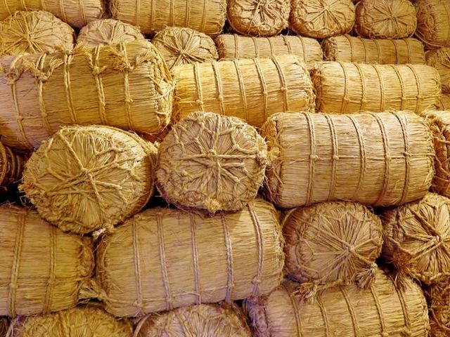 こんな倉庫が16棟、現在2棟は
資料館と夢の倶楽として使用_山居倉庫
