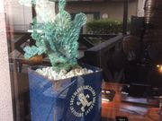 ミッキーさんの焼肉 もつ鍋 牛旨 広畑店の投稿写真3