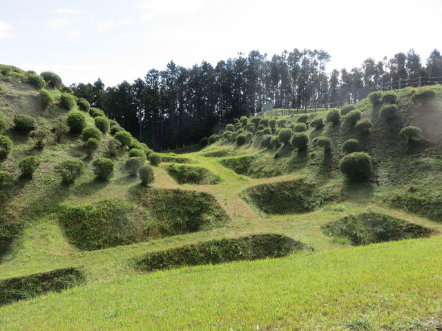 山中城2_山中城跡