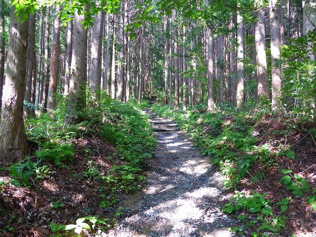 岩手県・遠野市・続石 への道_続石
