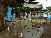マヤバーさんの蕪嶋神社の投稿写真3