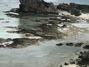 さらさらさんごさんのギタラ展望台の投稿写真1