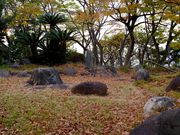 SK-宏さんの海岸寺の投稿写真1