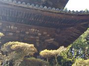 やんまあさんの園城寺塔婆三重塔の投稿写真1