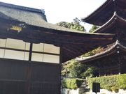 やんまあさんの三井寺唐院の投稿写真1