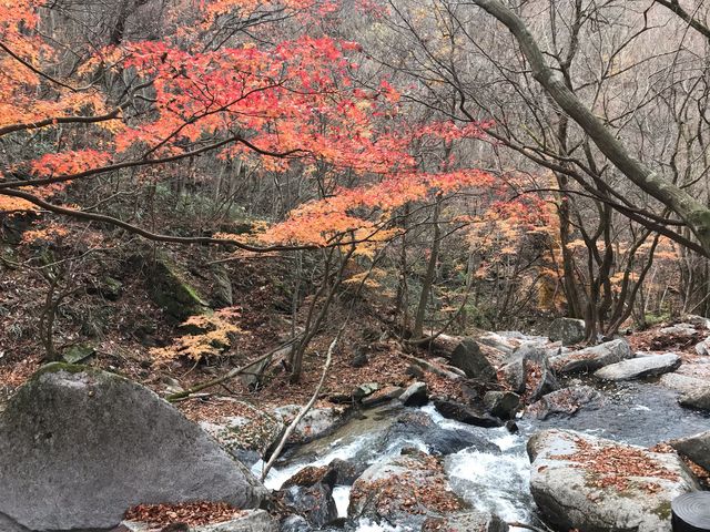 ヌケてるライダーさんの滝川渓谷の紅葉の投稿写真1