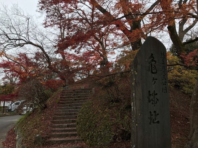 入り口の所〜〜_棚倉城跡の紅葉