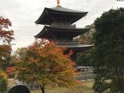 ヌケてるライダーさんの村松山虚空蔵堂の投稿写真1