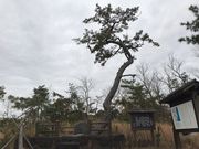 ヌケてるライダーさんの村松晴嵐の碑の投稿写真1