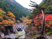 しんちゃんさんの鳩ノ巣渓谷の投稿写真4