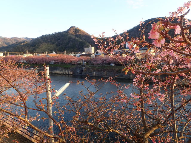 河津川