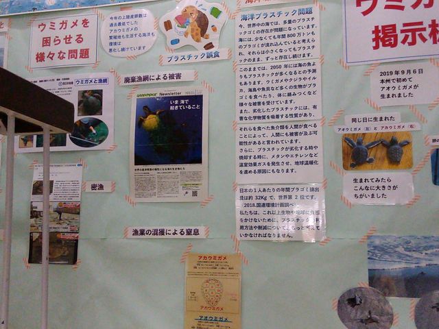 掲示板_サンクチュアリネイチャーセンター