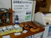 こんぱらさんのサンクチュアリネイチャーセンターの投稿写真3