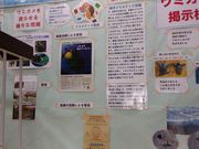 こんぱらさんのサンクチュアリネイチャーセンターの投稿写真2