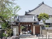 マヤバーさんの安居院(飛鳥寺)の投稿写真1