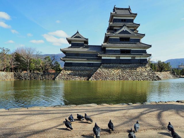 松本城公園で鳩に餌を遣りながら_松本城公園